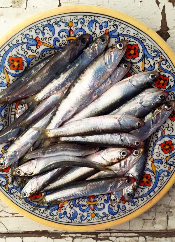 Cases of frozen bait- herring sardines mackerel and anchovies