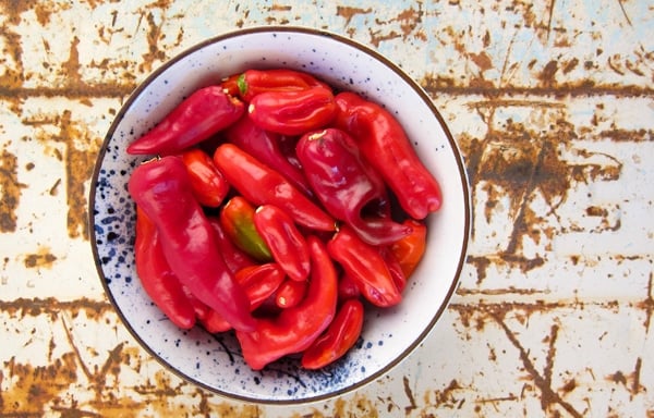 chiles for hot sauce