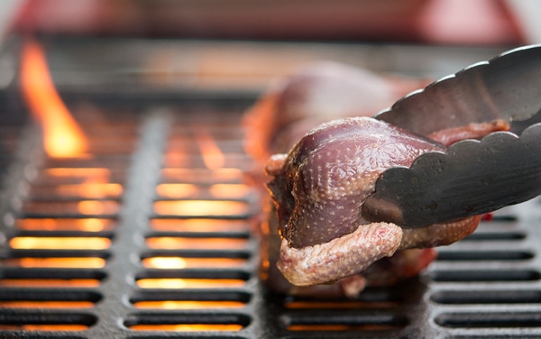 dove-on-grill.jpg