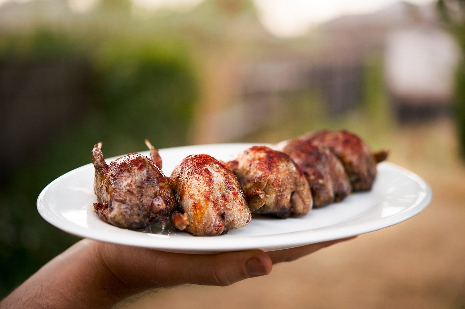 The Ultimate Dove Recipe - Grilled Doves La Mancha | Hank Shaw