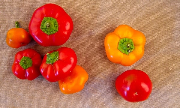 various sweet peppers, ready to preserve