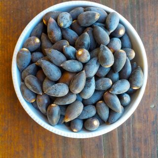 Blue oak acorns in a bowl