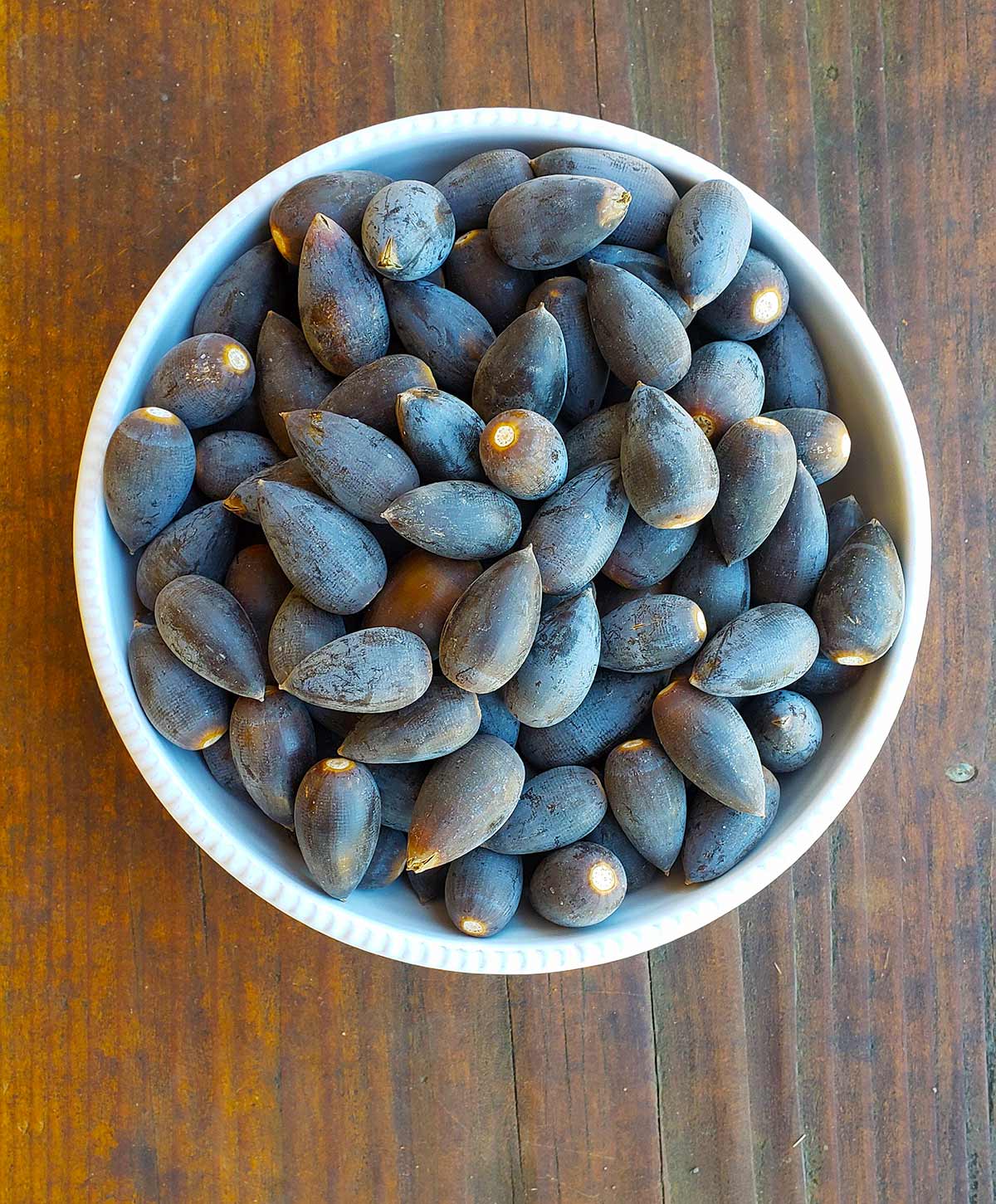 Blue oak acorns in a bowl