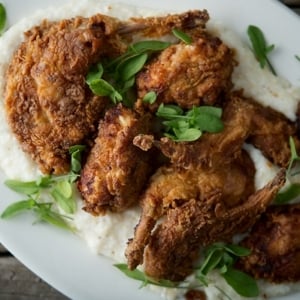 buttermilk fried rabbit recipe