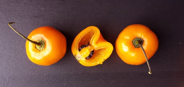 chile manzano, Capsicum pubescens