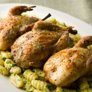 Roast quail recipe