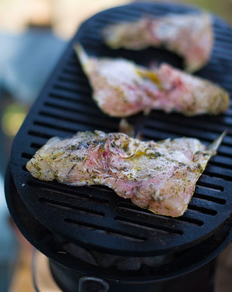 Striped bass collars grilling