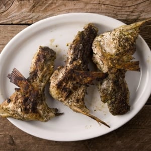 grilled fish collars recipe