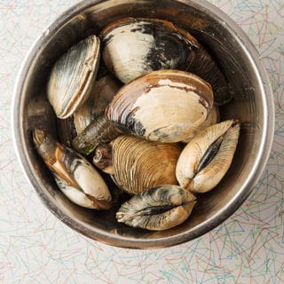 Gaper clams in a bowl