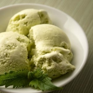 Wild mint leaf ice cream