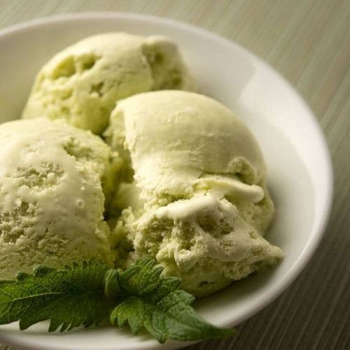 https://honest-food.net/wp-content/uploads/2015/06/mint-leaf-ice-cream-500x500.jpg