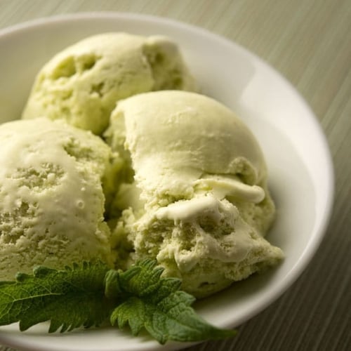 No-Churn Vanilla Ice Cream - Love Grows Wild