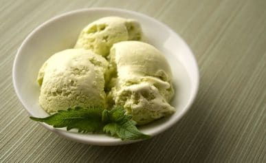 Mint leaf ice cream recipe