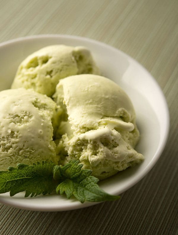 Wild mint leaf ice cream