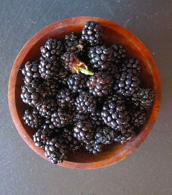 Blackberries in a bowl