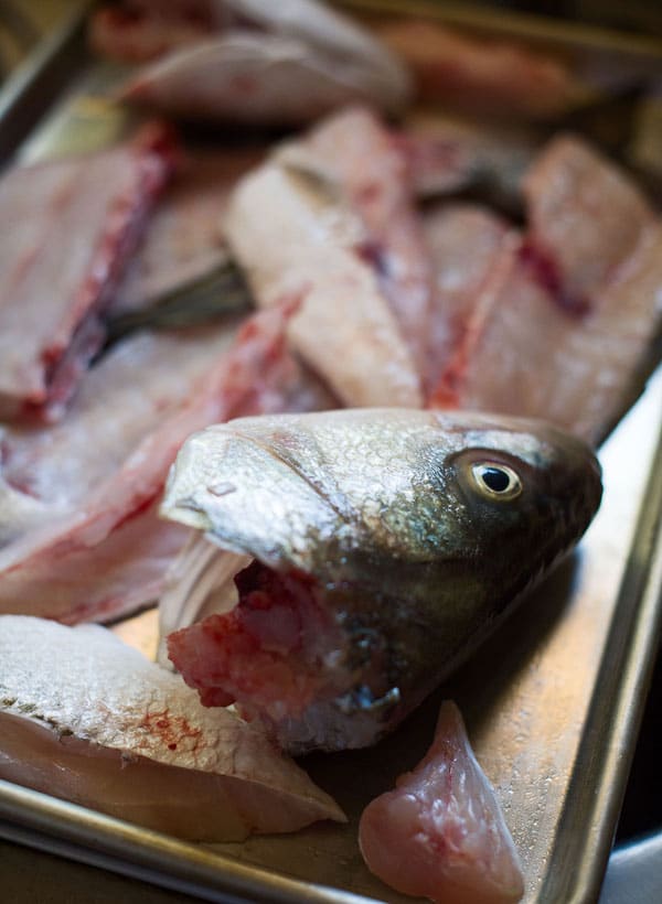 Fish bones for fish stock