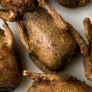 Fried doves recipe