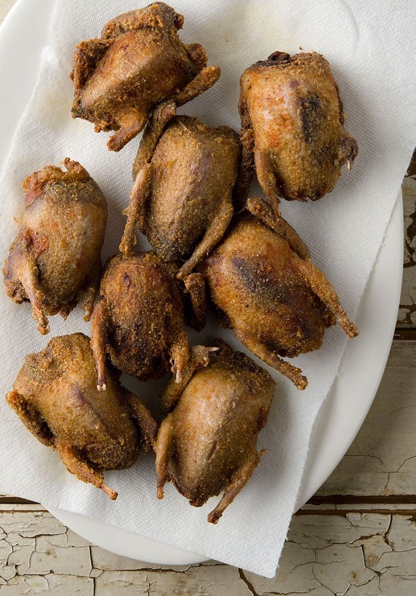 Fried Doves Recipe