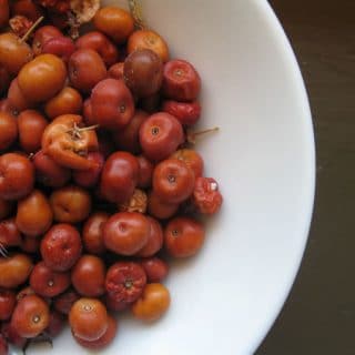 Ripe manzanita berries