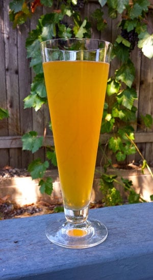 A glass of beer on a table, with Manzanita and Fruit