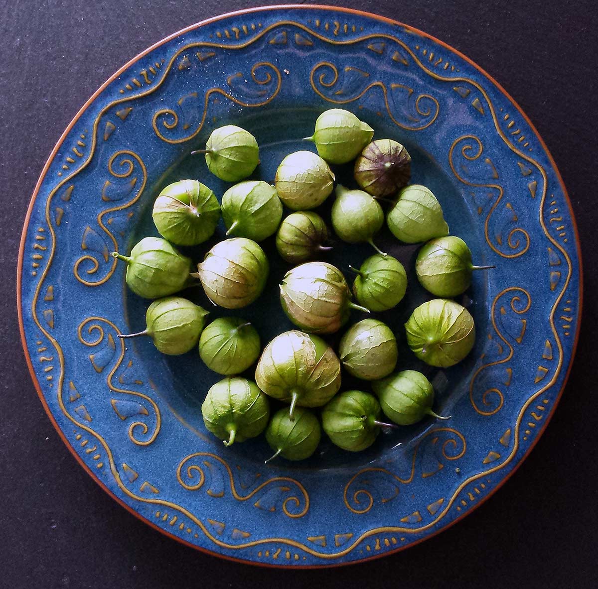 Wild tomatillos on a plate