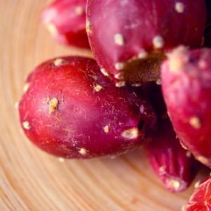 How to make prickly pear syrup