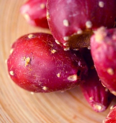 How to make prickly pear syrup