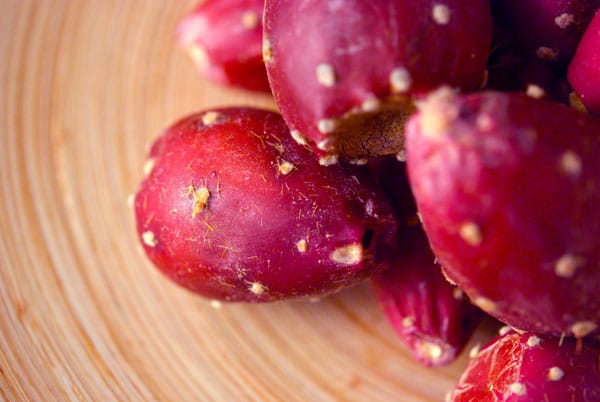 prickly pear cactus fruit