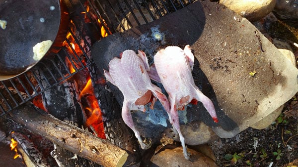 Grouse roasting on a rock