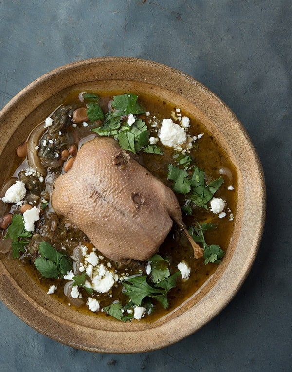 Teal in a jar, overhead view