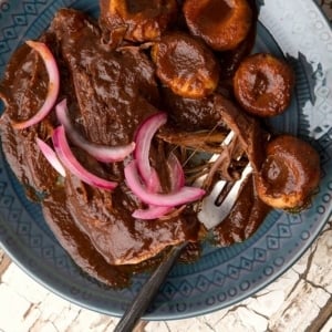 Venison mole recipe