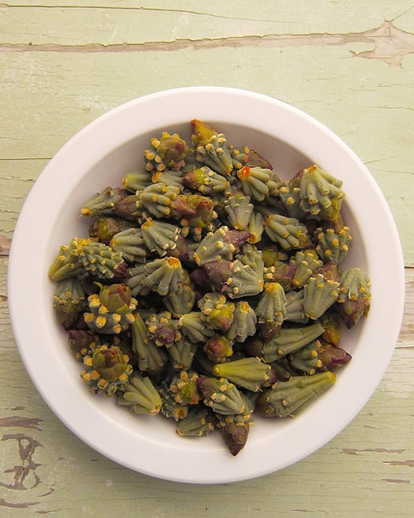 A bowl of cholla buds. 
