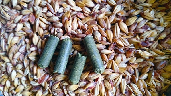 malt with hop pellets