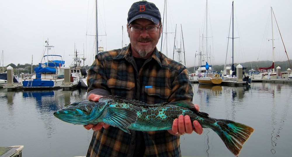 Rockcod - Setup and Lures 