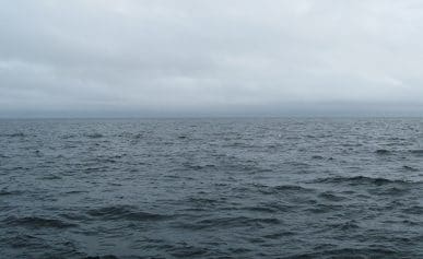 The gray ocean.