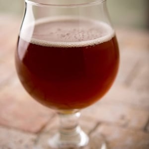 Fir tip ale recipe