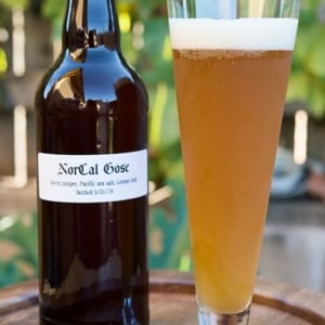 gose beer recipe