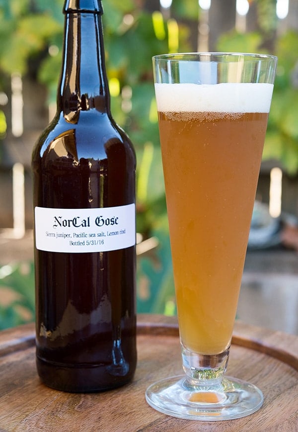 gose beer recipe in the glass