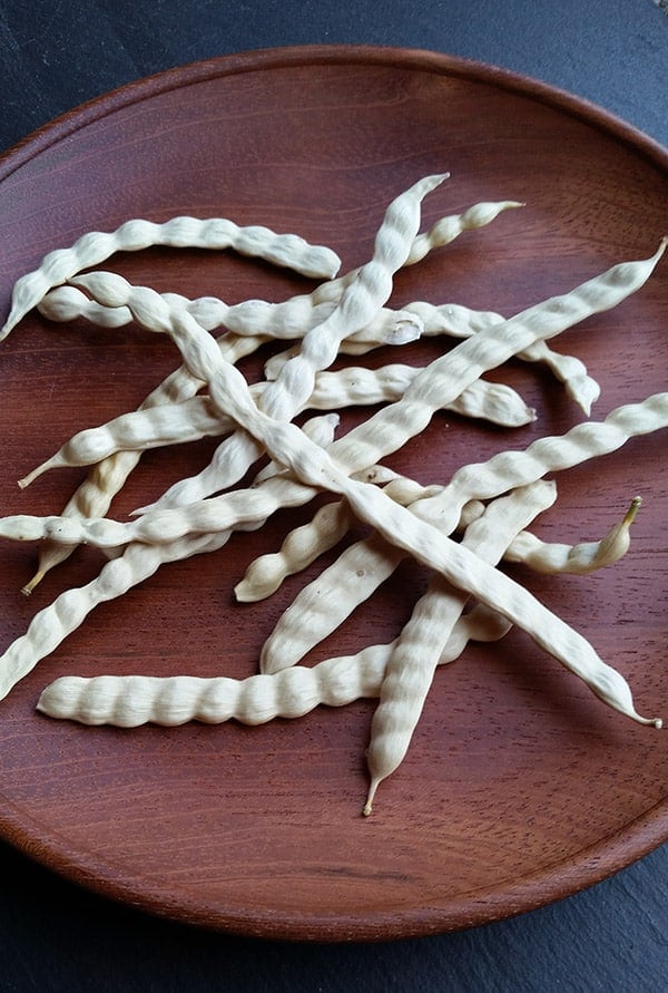 Dry mesquite beans on a plate. 
