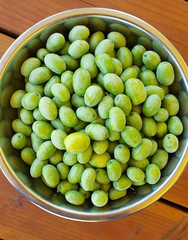 A bowl of fresh green olives, ready to become lye cured olives