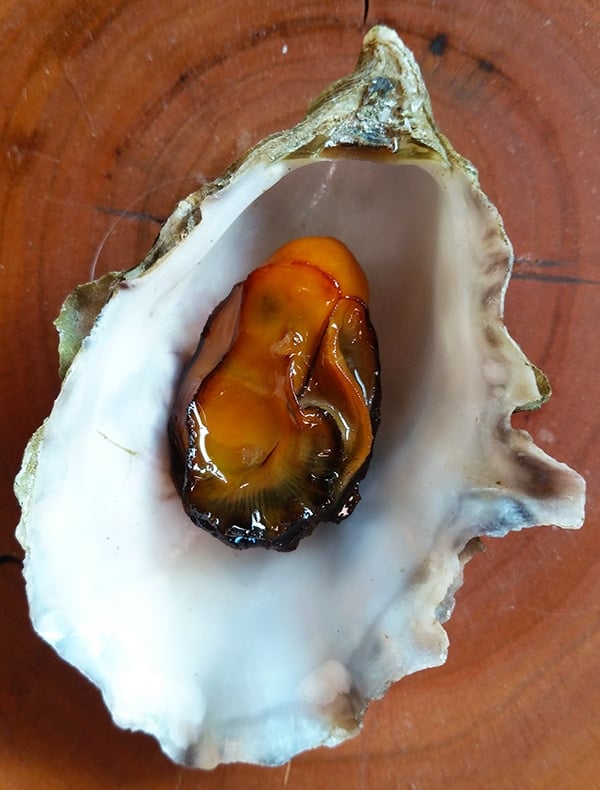 A single smoked oyster a shell