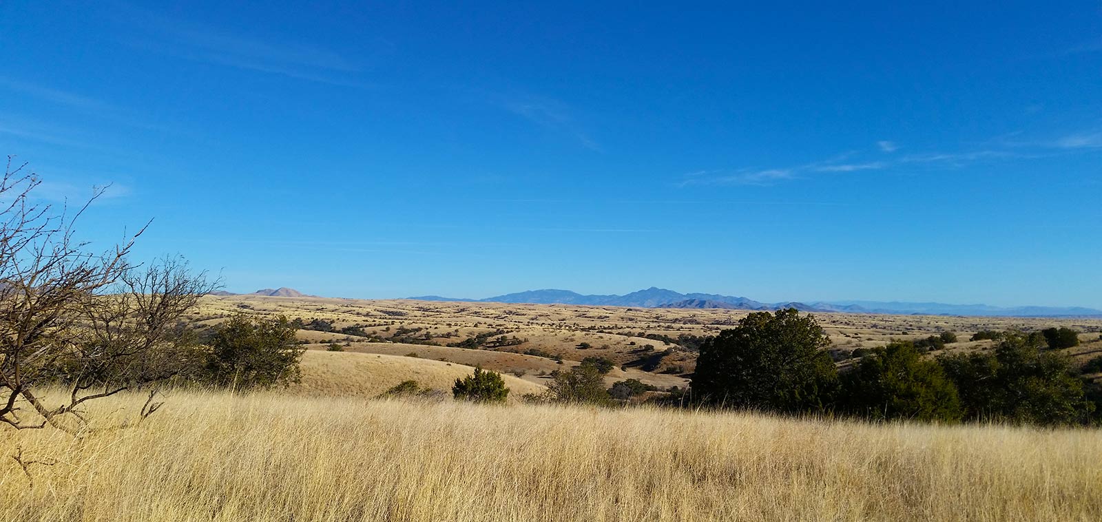 Arizona Mearns quail country