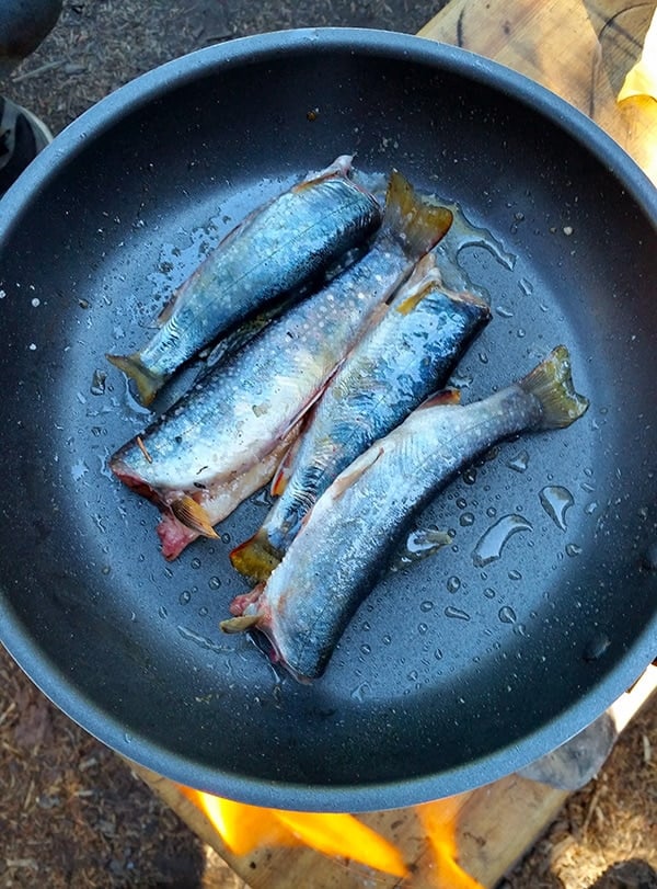 brook-trout-in-a-pan - Brook Trout In A Pan