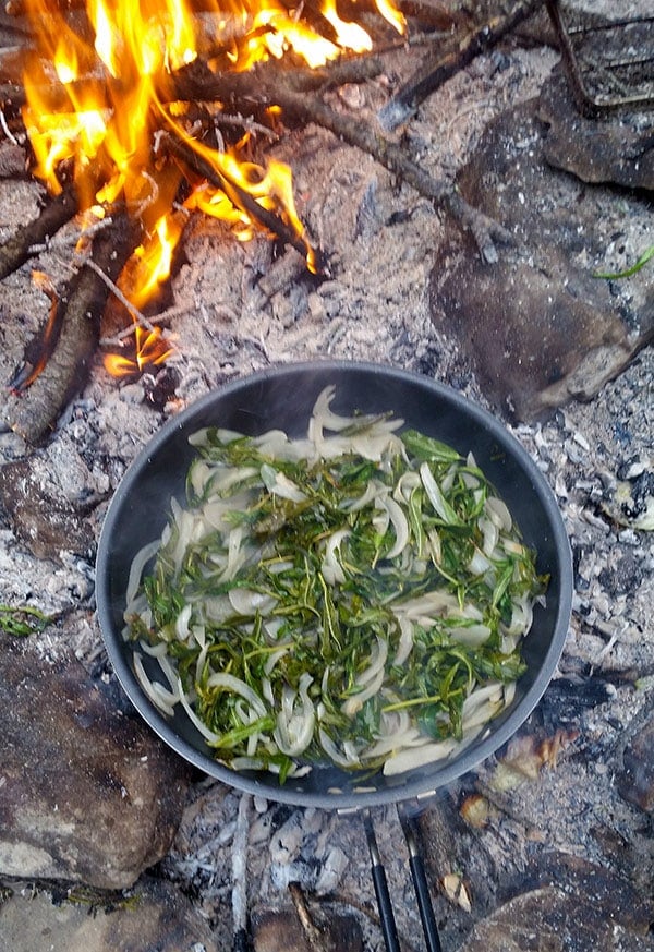 Fireweed greens, simmering in a pot. 