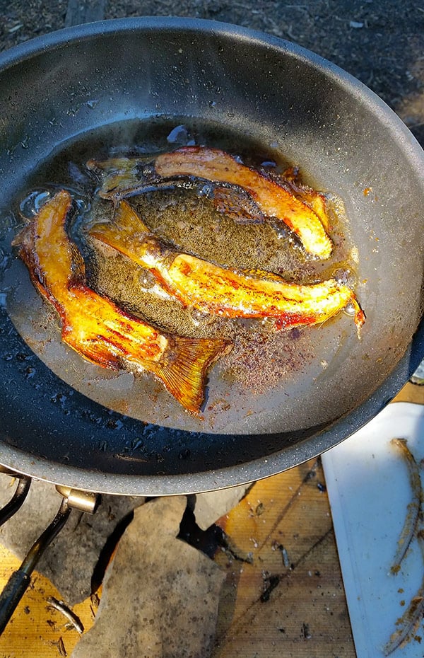 fried trout skeletons