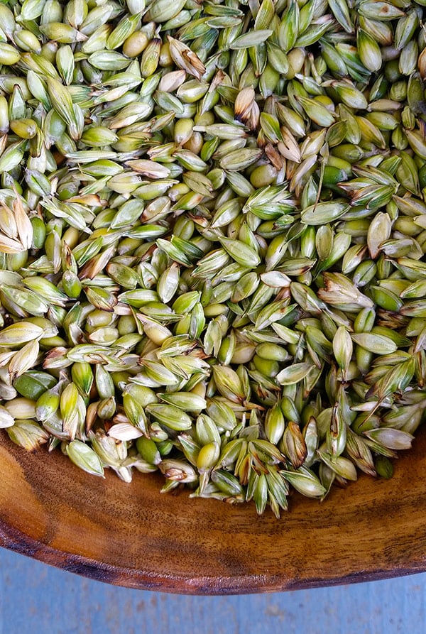 Green wheat, harvested