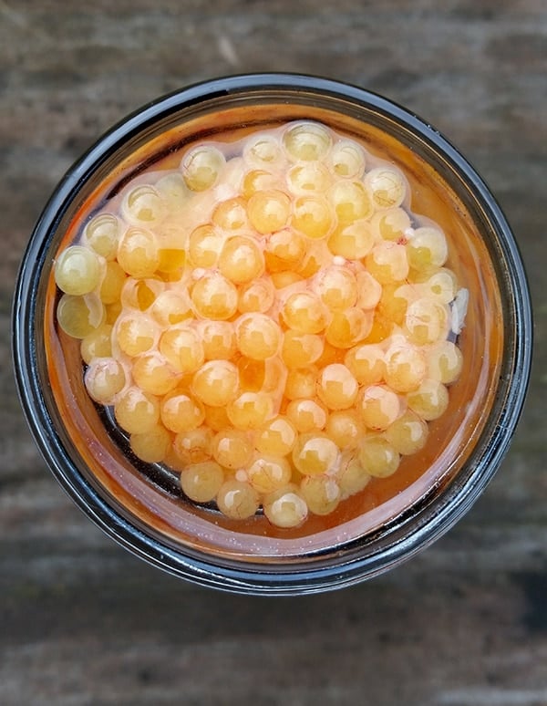 dolly varden caviar
