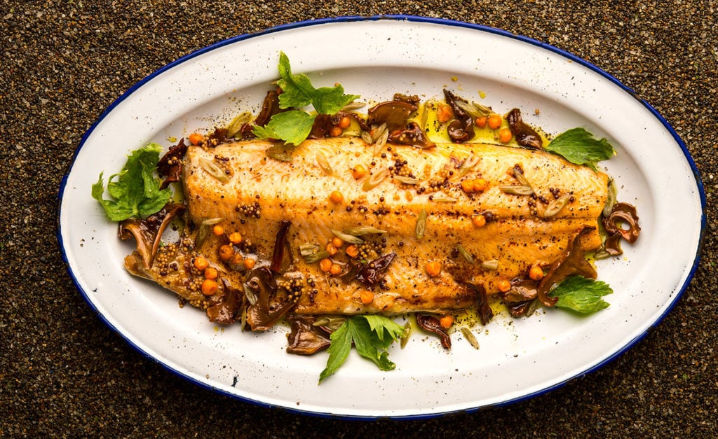Salmon Recipes and Trout Recipes from Hank Shaw