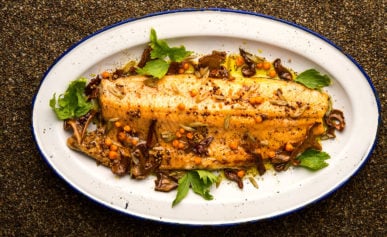 broiled trout recipe