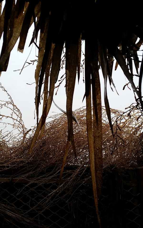 The view from the duck blind